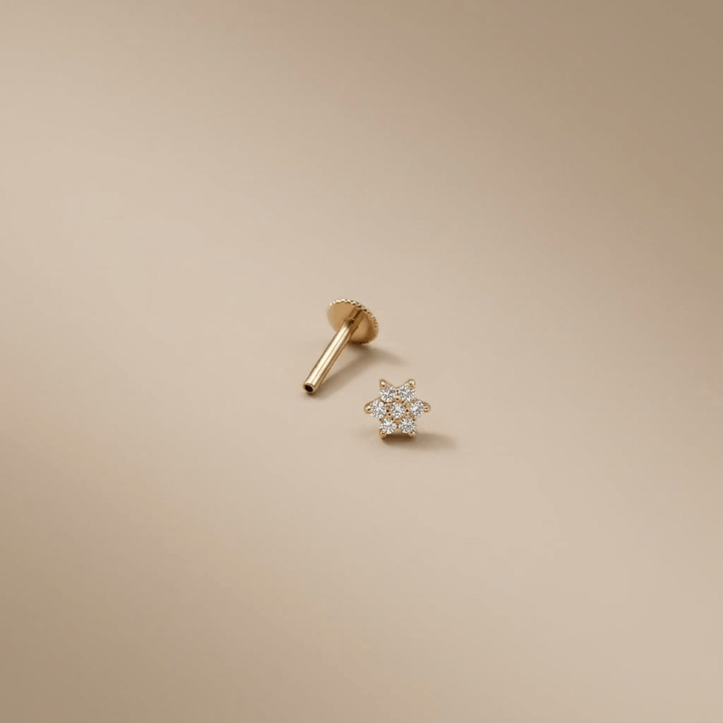 עגיל פירסינג פלור קטן